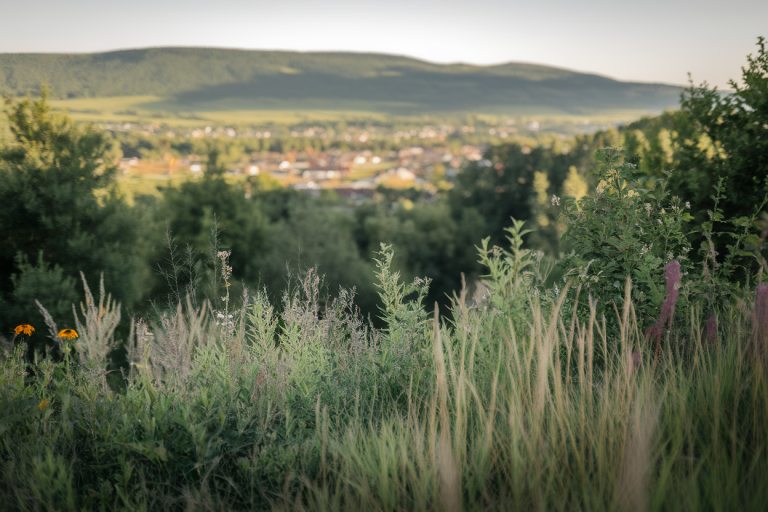 Protection juridique des espaces naturels : guide pour les municipalités