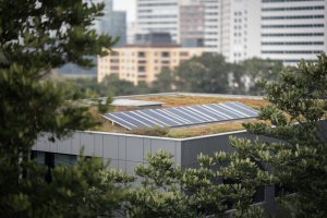 Réduction de l'empreinte carbone des bâtiments : techniques et certifications