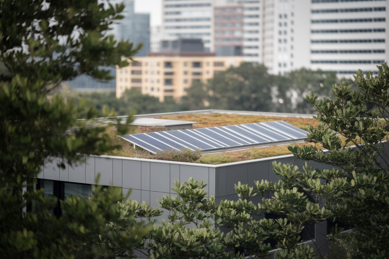 Réduction de l’empreinte carbone des bâtiments : techniques et certifications